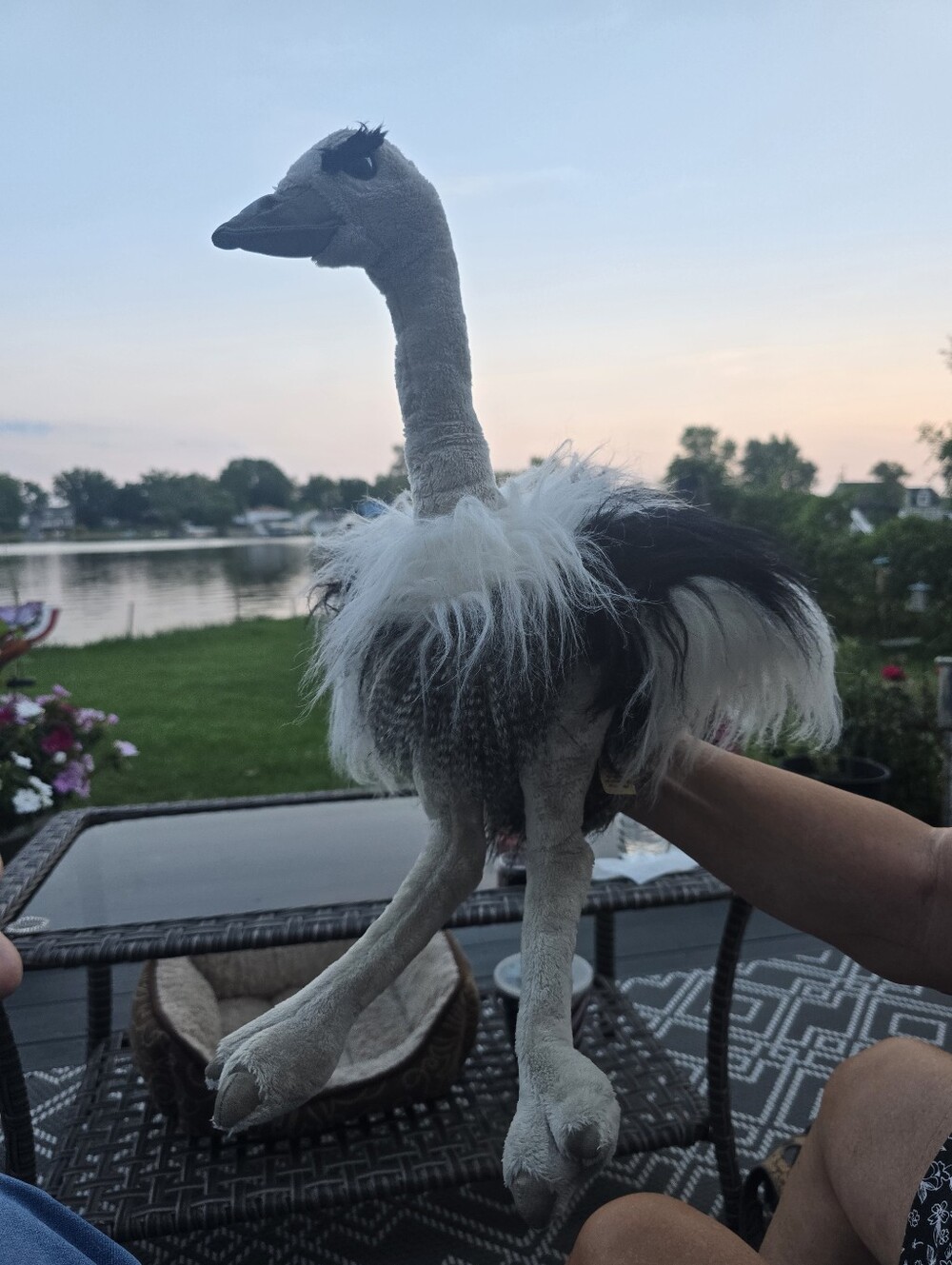 Folkmanis Ostrich Black & White Full Body Large Hand Puppet
